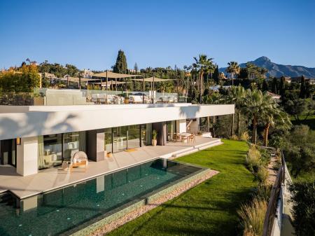 Modern Villa in Aloha